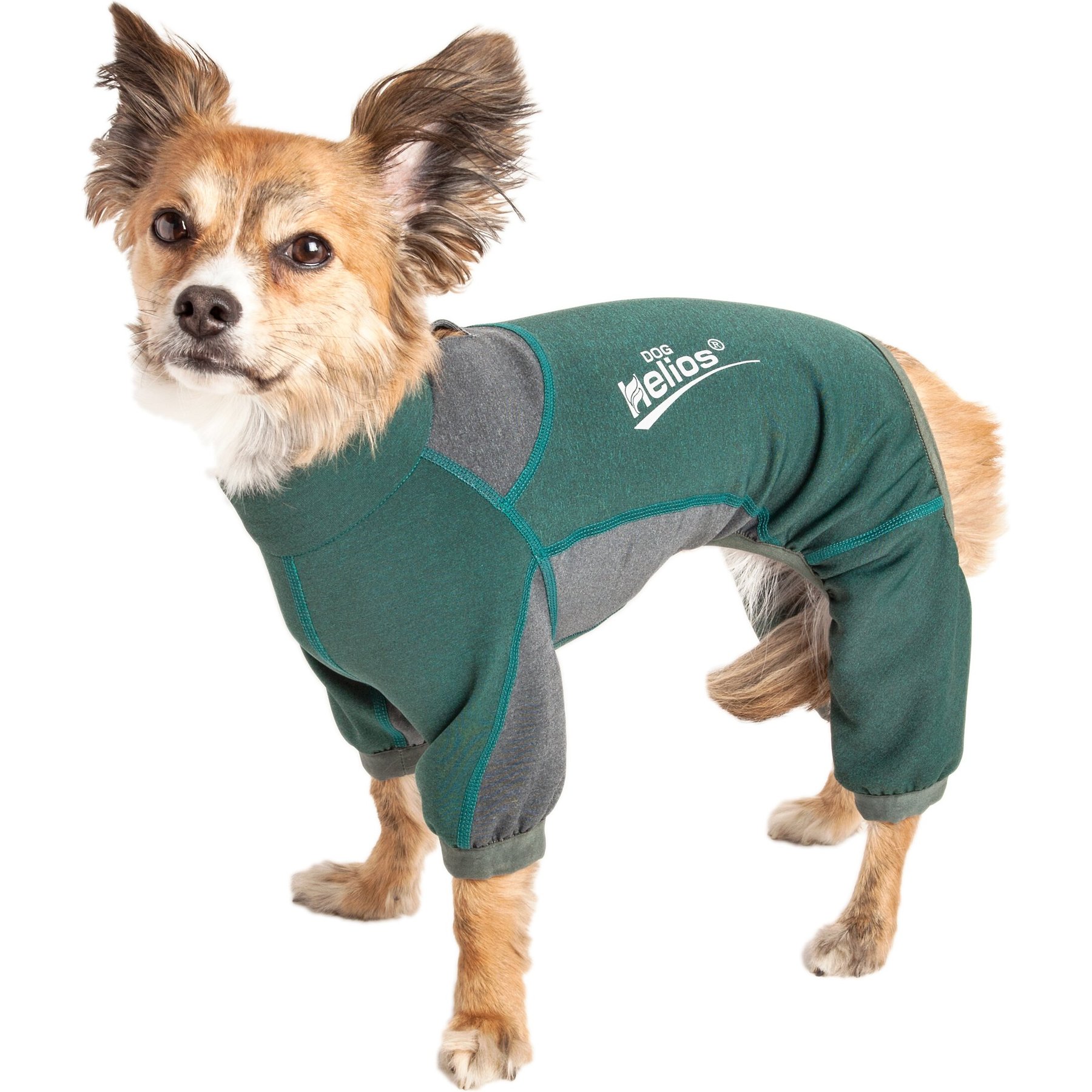Dog Helios Rufflex Mediumweight 4-Way Stretch Performance Dog Warmup Tracksuit, Green & Grey, Small