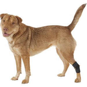 Labra Lightweight Dog Hock Brace, Medium
