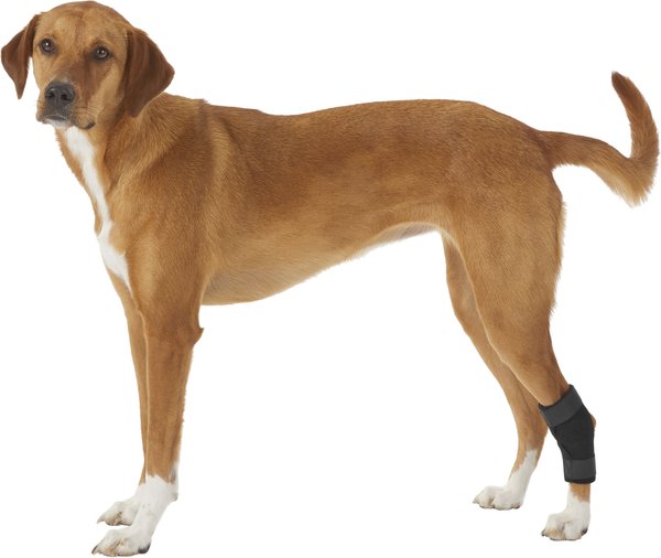 Labra Lightweight Dog Hock Brace, X-Large slide 1 of 4