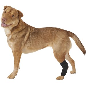 Labra Supportive Dog Hock Brace, Medium