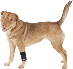 Labra Front Leg Dog Wrap, Small/Medium