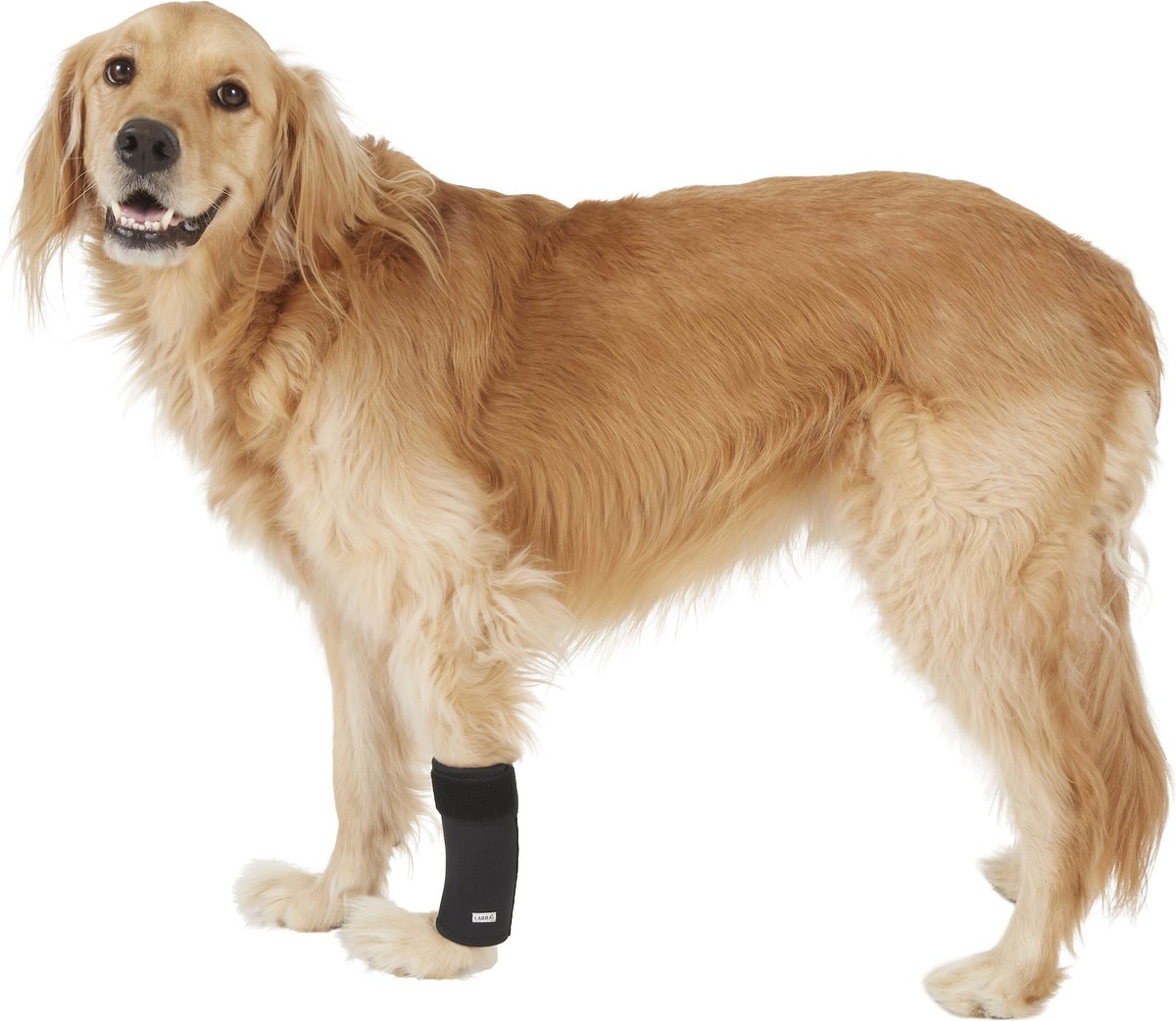 Leg wraps for dogs, Neoprene leg wraps for Dogs with arthritis