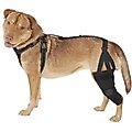 Labra Left Leg Dog Knee Brace, Medium