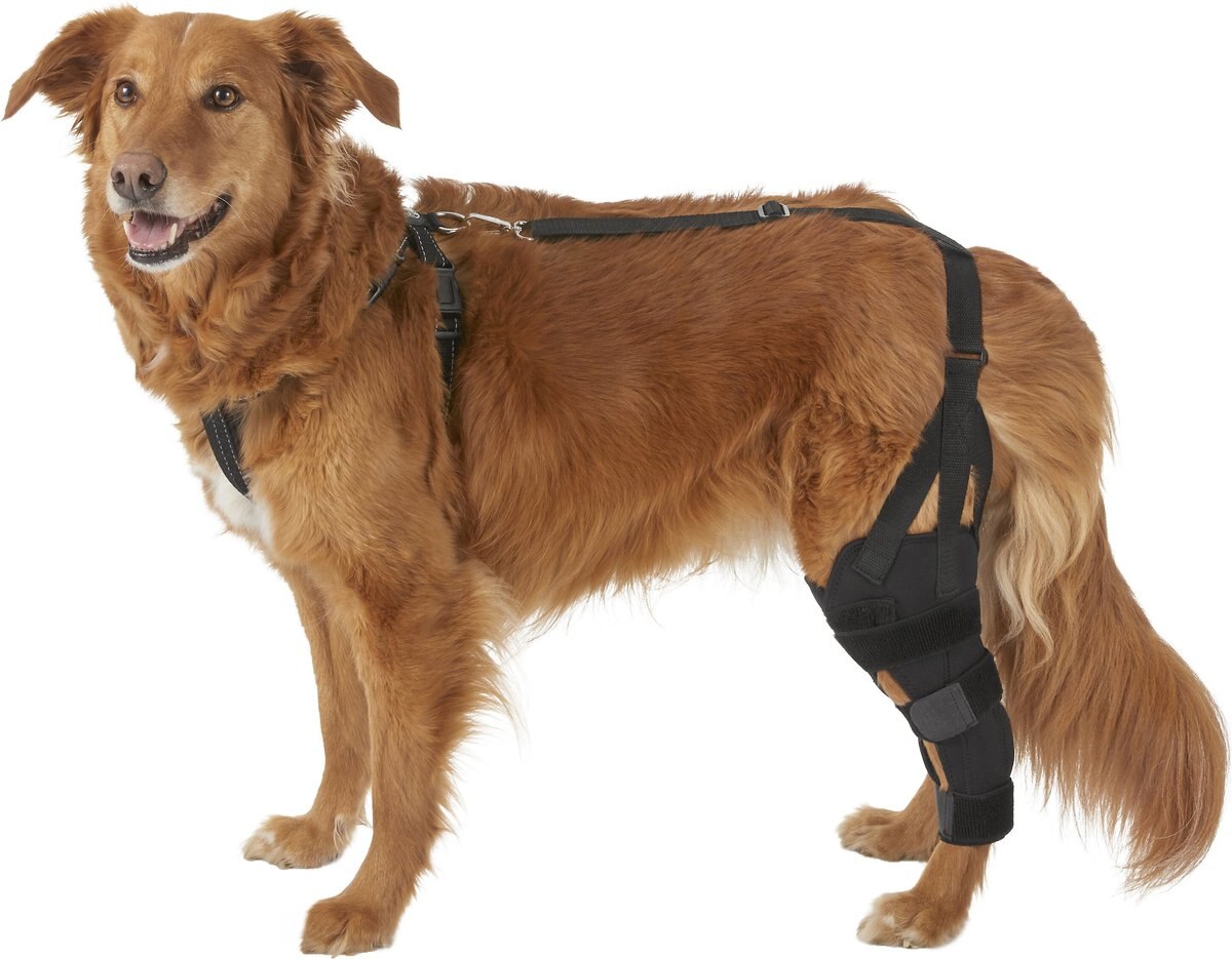 LABRA Left Leg Dog Knee Brace, Large