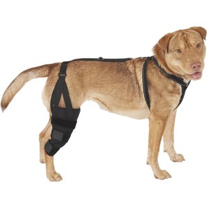 Labra Right Leg Dog Knee Brace, Medium