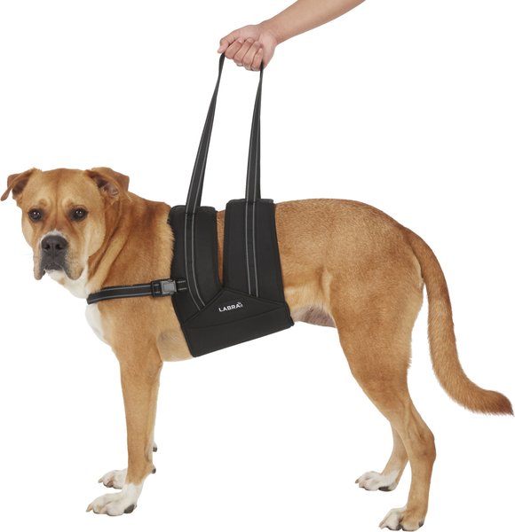 Labra Dog Support Sling with Chest Strap, XX-Large slide 1 of 5