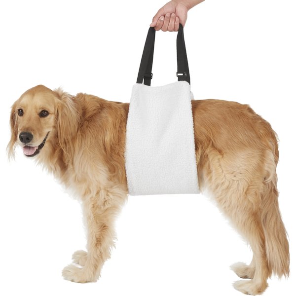 WALKABOUT Walkabelly Support Sling Dog Harness, Black, Medium 