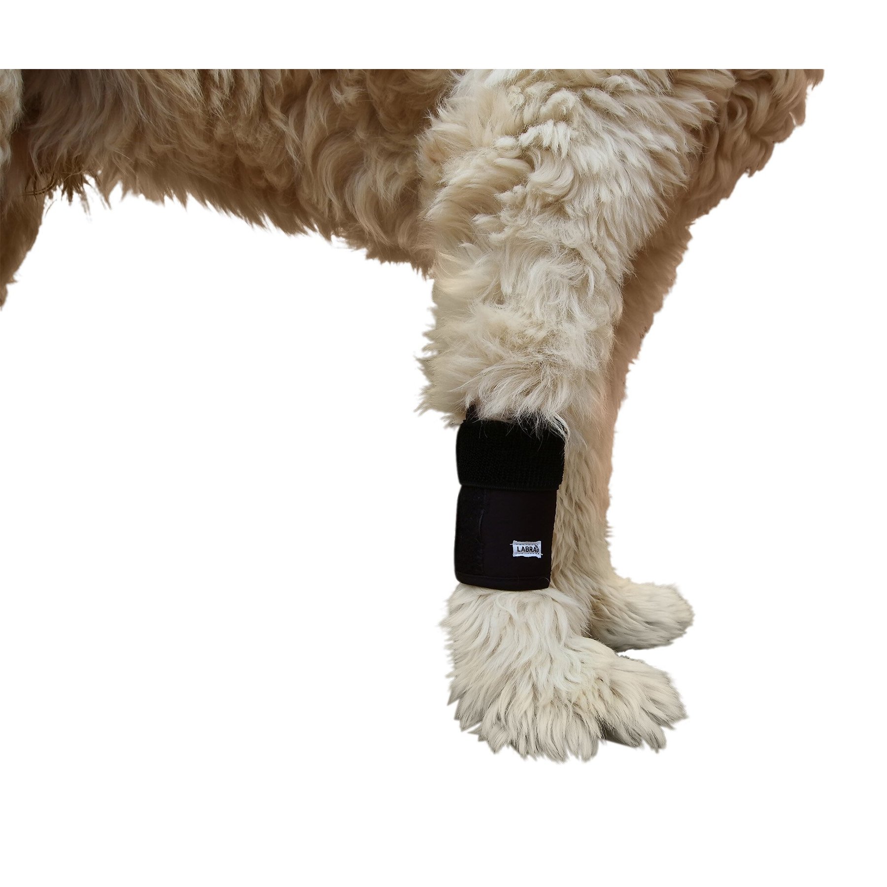 Agon® Dog Front Leg Brace, Paw Compression Wrap