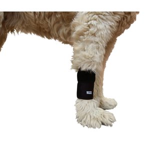 Labra Extra Supportive Front Leg Dog Wrap, Small/Medium