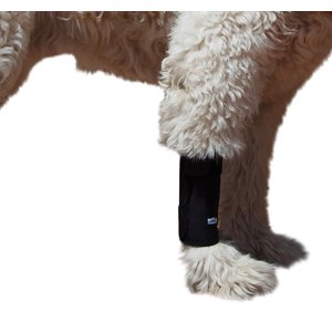 Agon® Dog Canine Front Leg Brace Paw Compression Wraps With