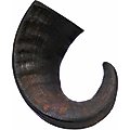 Bones & Chews Water Buffalo Horn Large Dog Treat, 1 ct