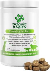 Doggie Dailies Advanced Probiotics Pumpkin Flavor Soft Chew Dog Supplement, 225 count