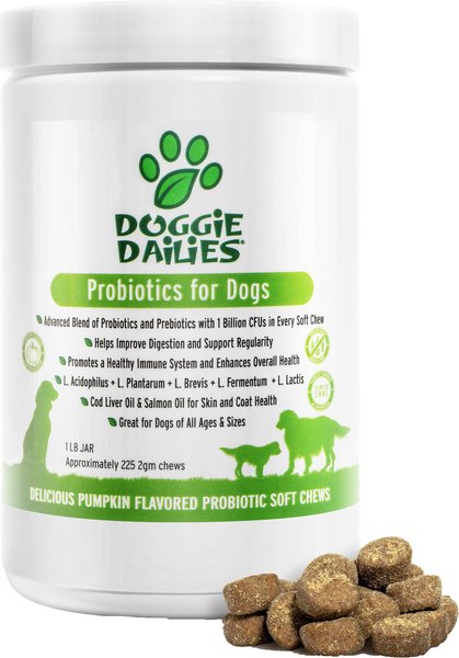 Doggie Dailies Advanced Probiotics Pumpkin Flavor Soft Chew Dog Supplement, 225 count slide 1 of 7