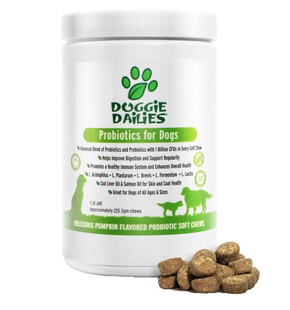 DOGGIE DAILIES Advanced Probiotics Pumpkin Flavor Soft Chew Dog