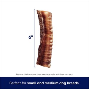 Bones & Chews Made in USA 6" Beef Trachea Dog Treats, 3ct