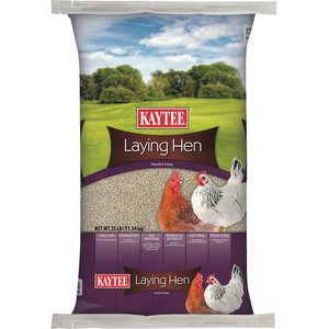 Kaytee Laying Hen Diet Chicken Feed, 25-lb bag