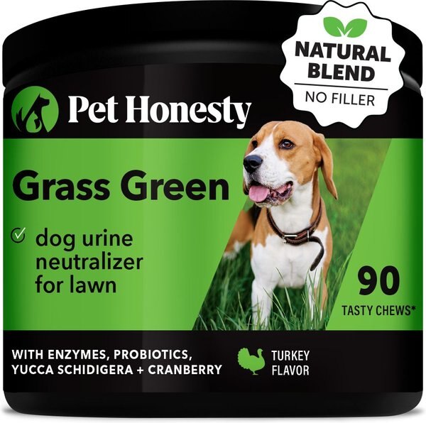 PetHonesty Grass Green Turkey Flavored Soft Chews Digestive Supplement for Dogs, 90 count slide 1 of 7