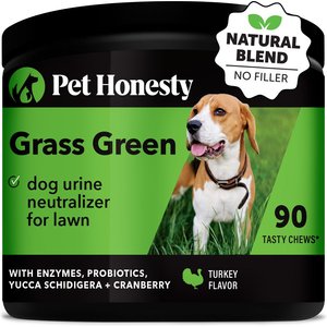PetHonesty Grass Green Turkey Flavored Soft Chews Digestive Supplement for Dogs, 90 count