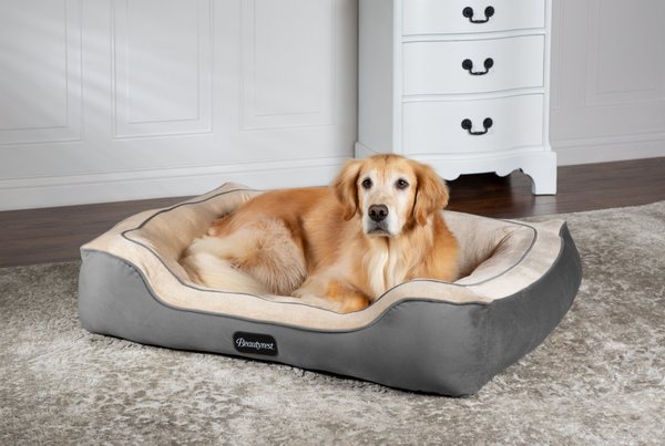 Beautyrest Cozy Cuddler Dog & Cat Bed, Gray, Large slide 1 of 6