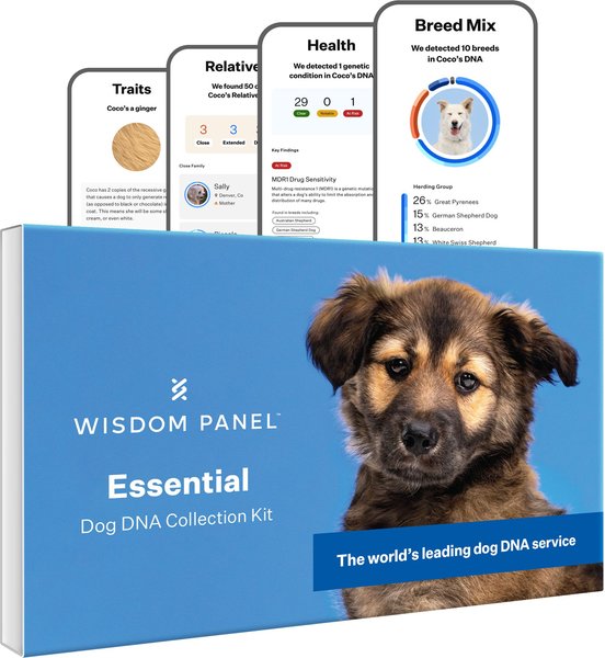 Wisdom Panel Essential Breed Identification DNA Test For Dogs lupon