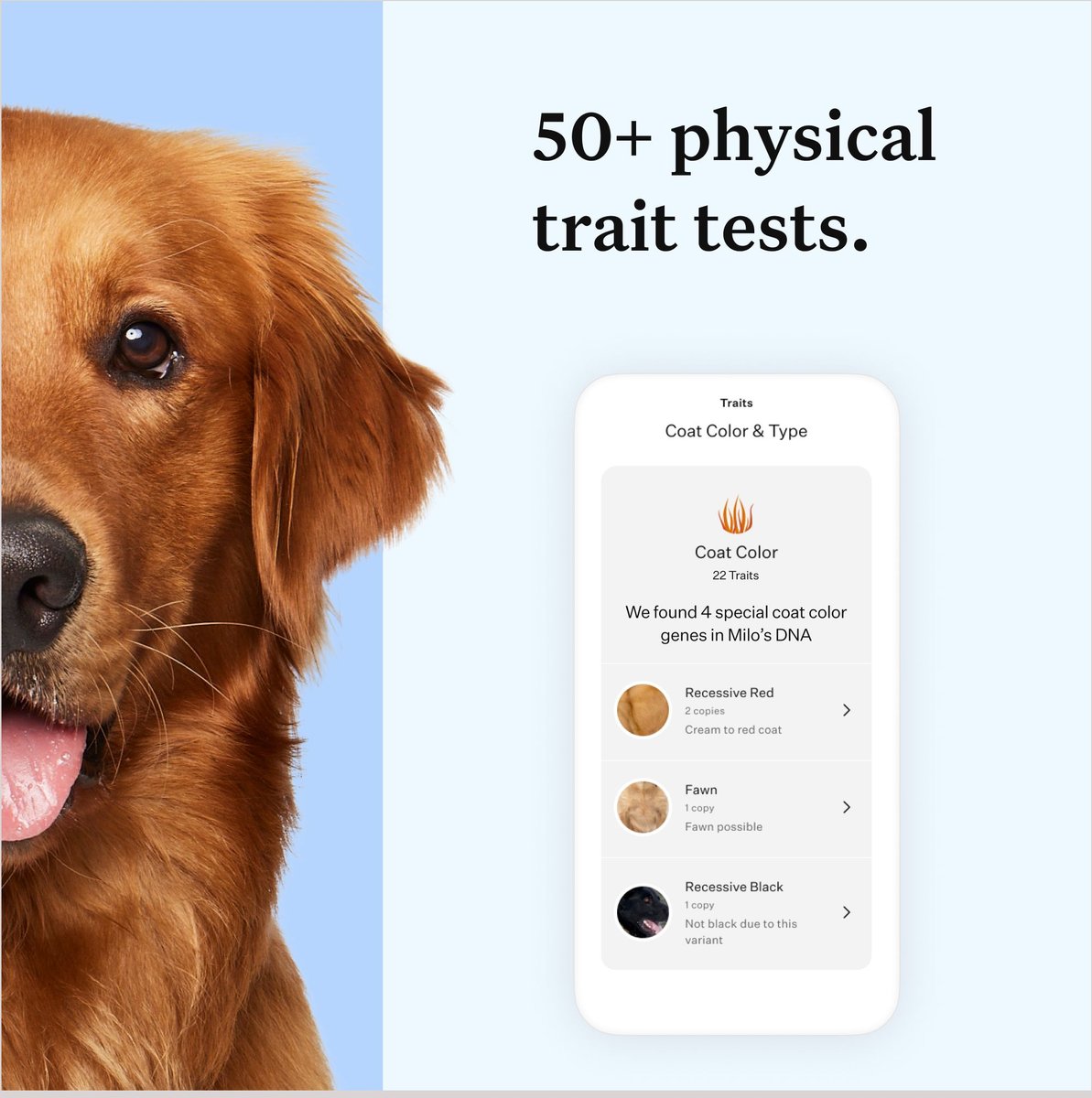 Wisdom panel health dna hot sale test