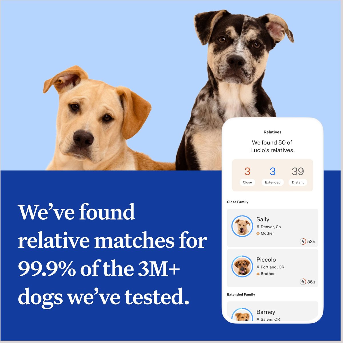 Wisdom dna outlet dog test