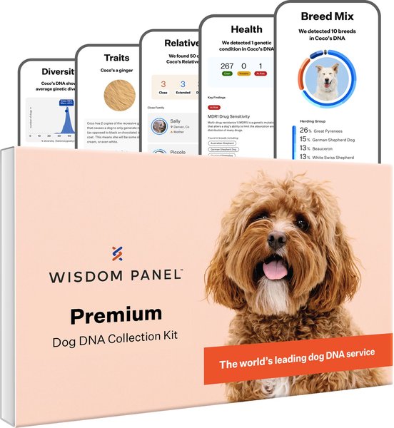 Wisdom Panel Premium Breed Identification & Health Condition Identification DNA Test For Dogs slide 1 of 8