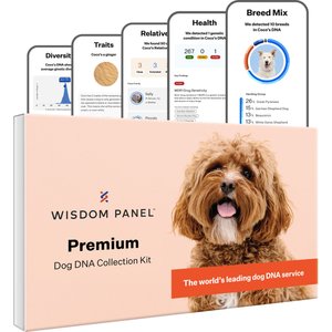 Wisdom Panel Premium Breed Identification & Health Condition Identification DNA Test For Dogs