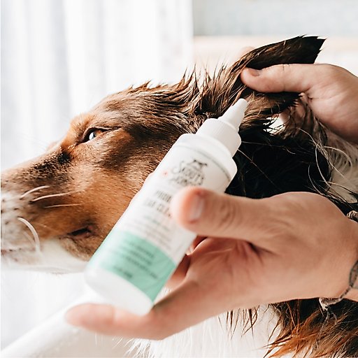 Skout's Honor Probiotic Dog Ear Cleaner, 4-oz bottle