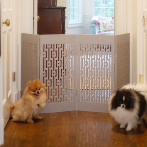 Puppy Proofing — Dom's Dogs