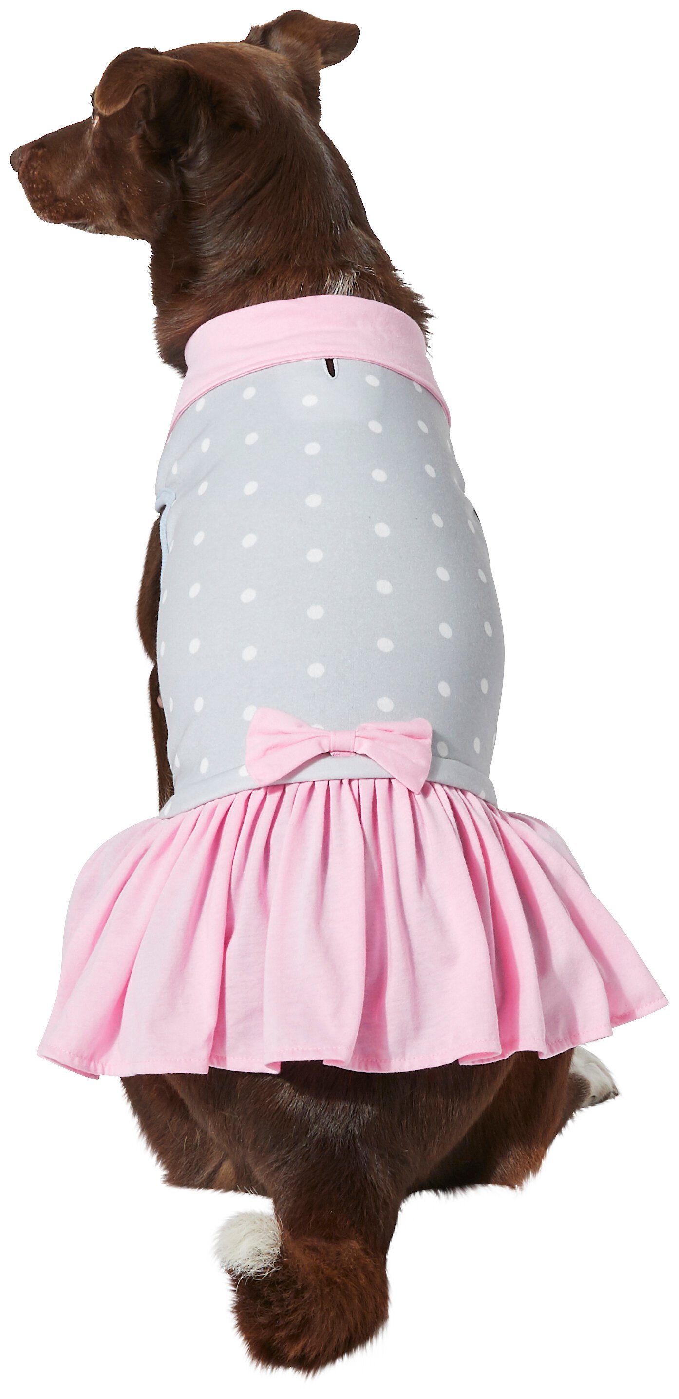 FRISCO Polka Dot Dog & Cat Sweatshirt Dress Customer Questions - Chewy.com