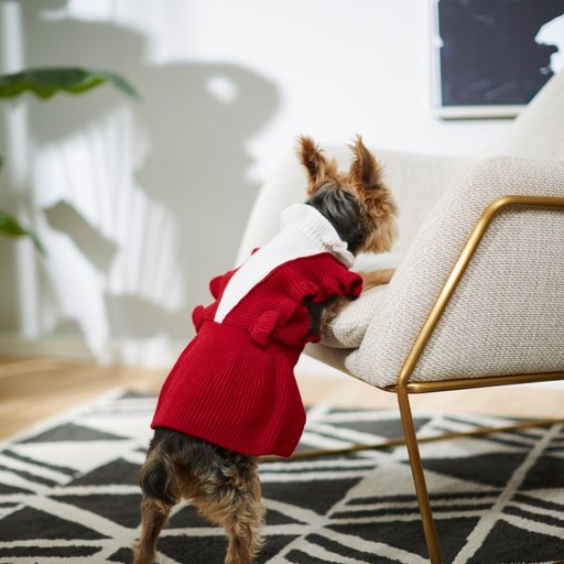 Frisco V Ruffle Dog & Cat Sweater Dress, Burgundy, Small