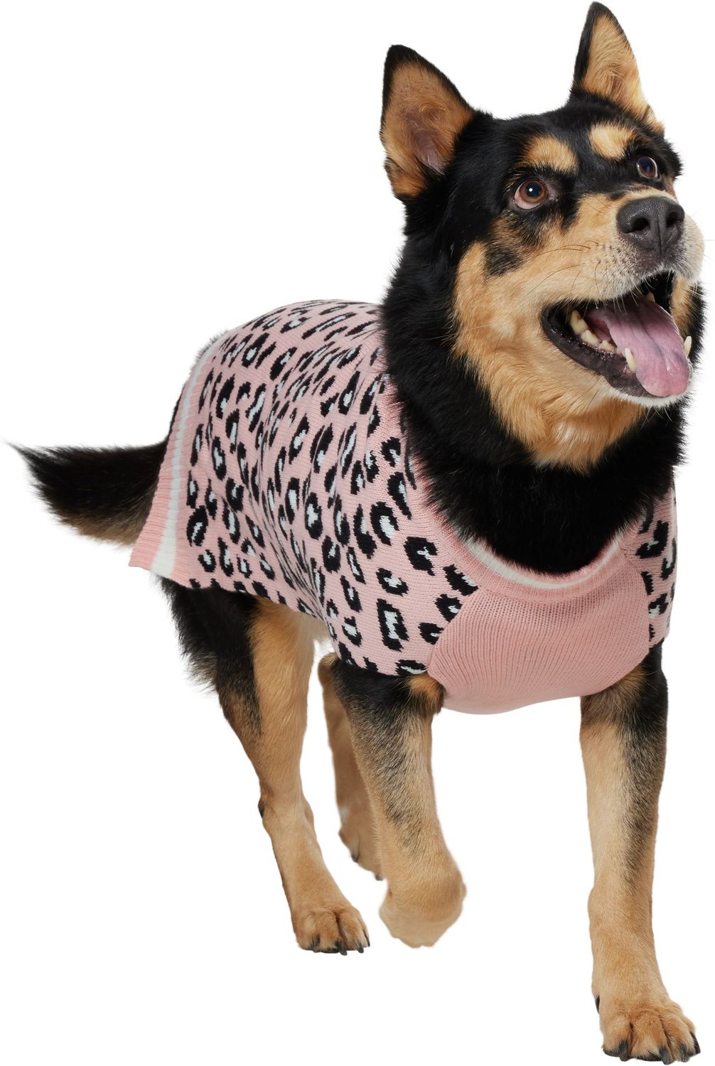 animal print dog sweater