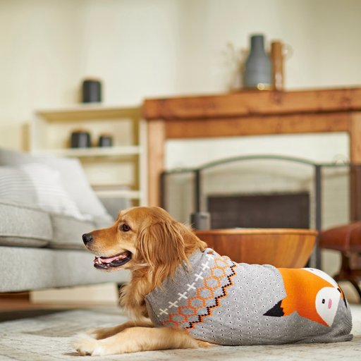 Frisco Fox Dog & Cat Sweater, X-Small