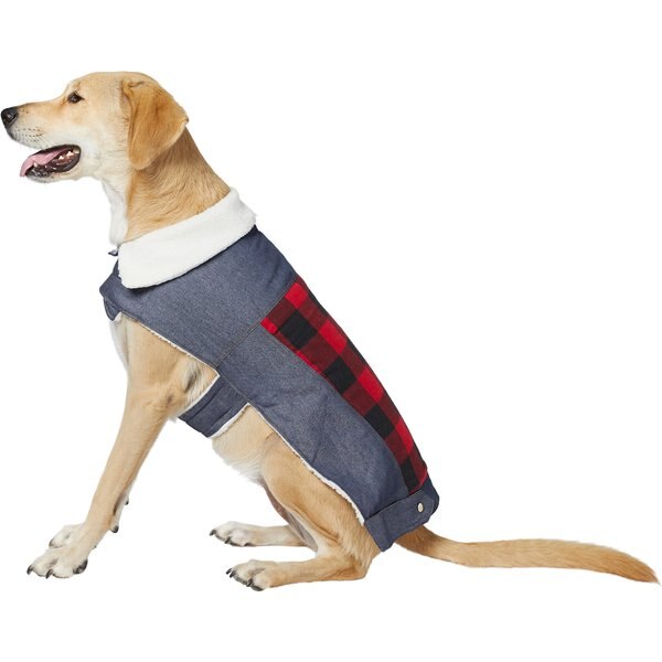 chewy pendleton dog coat