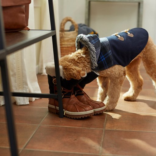 Frisco Mediumweight Plaid Hooded Insulated Dog & Cat Peacoat, Navy, Medium