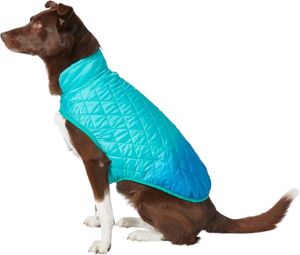 Frisco Packable Lightweight Gradient Insulated Dog & Cat Jacket, Teal, X-Large slide 1 of 7