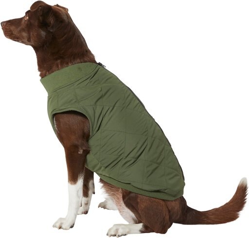 Frisco Lightweight Insulated Bomber Dog & Cat Jacket, Olive, XX-Large
