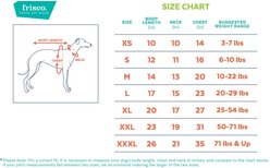 Frisco Mediumweight Patterned Bones Insulated Dog & Cat Coat, Red, X-Small slide 2 of 8