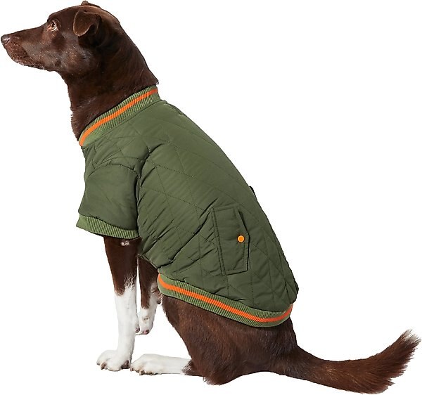 Frisco Mediumweight Insulated Quilted Bomber Dog & Cat Coat, Olive, Large slide 1 of 7