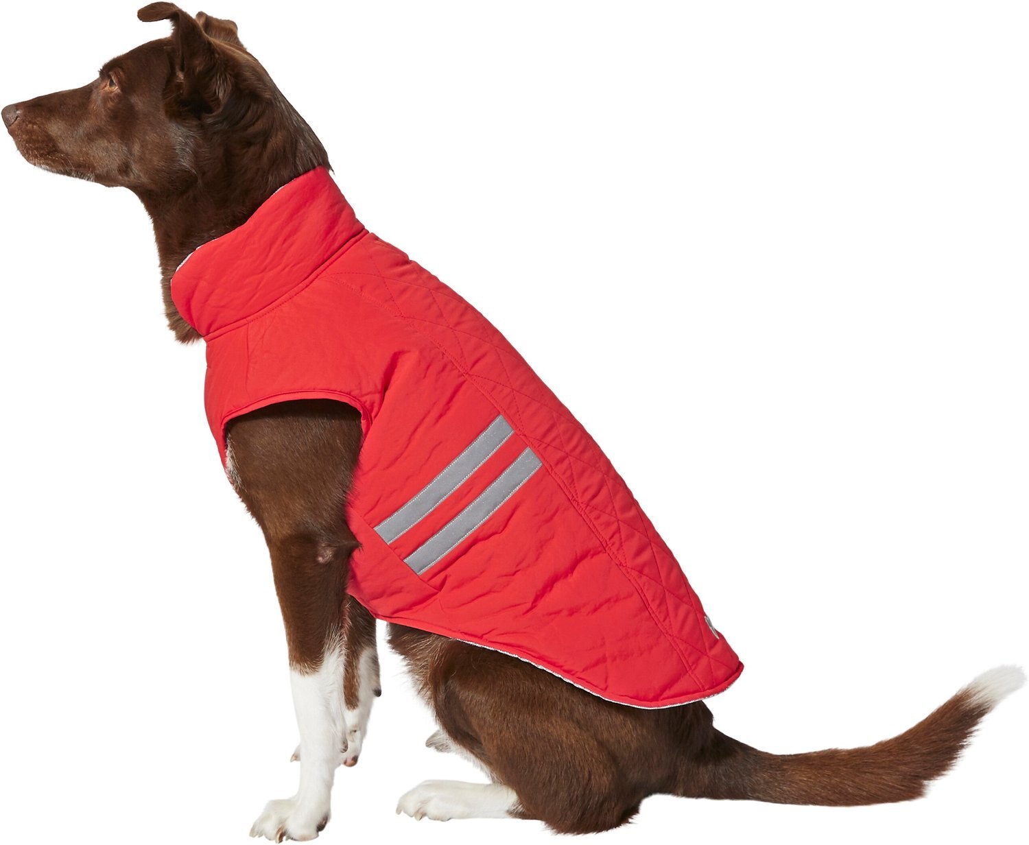 FRISCO Reflective Insulated Dog & Cat Coat with Thermal Lining, Red