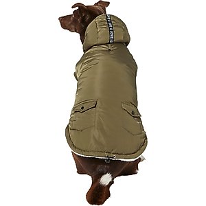 Frisco Mid-Heavyweight Love Insulated Dog & Cat Coat, Olive, X-Small