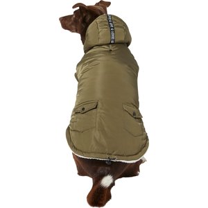 Frisco Mid-Heavyweight Love Insulated Dog & Cat Coat, Olive, Medium