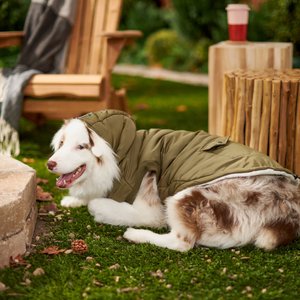 Frisco Mid-Heavyweight Love Insulated Dog & Cat Coat, Olive, X-Large