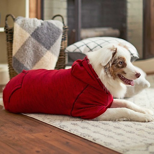 Frisco Sporty Dog & Cat Hoodie, Heather Red, Small