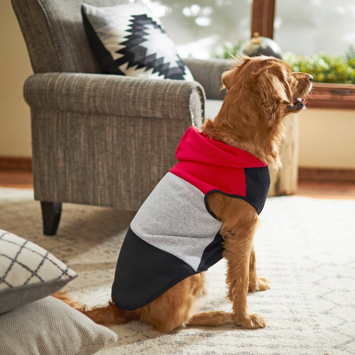 FRISCO Colorblock Dog & Cat Sleeveless Hoodie, Red/Black, X-Small ...