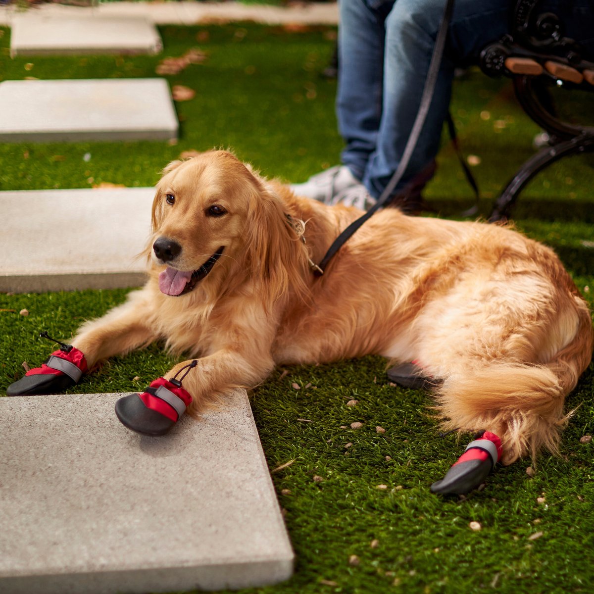 Dog clearance boots chewy