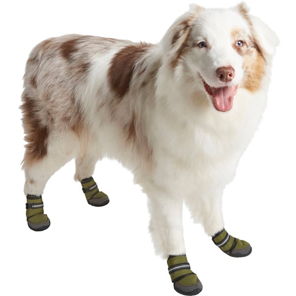 dog boots chewy