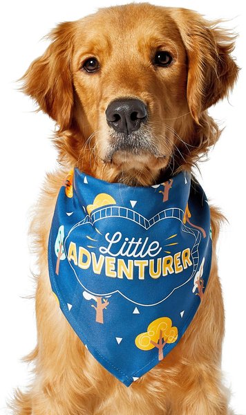 Frisco "Little Adventurer" Dog & Cat Bandana, One Size slide 1 of 5