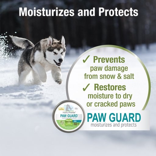 Four Paws Healthy Promise Paw Guard Dog Paw Protection Paw Guard, 1.75-oz